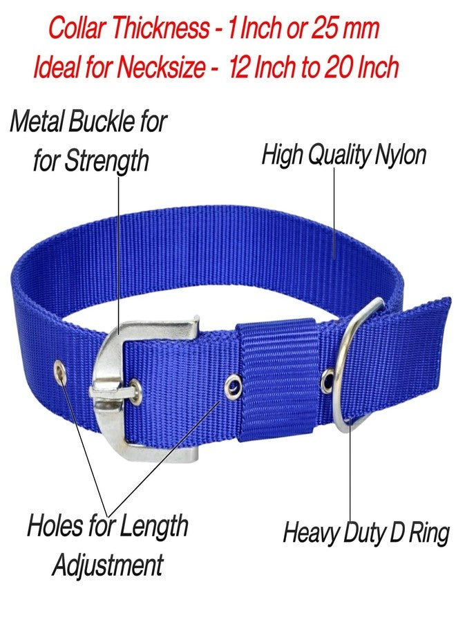 Petlicious & More® 1" Inch Thick Medium & Large Dog Collar with Dog Chain I Collar Size 12-20 Inch I Chain No. 8 Length 5 ft - Pack of Blue Collar with Dog Chain - Image 2